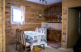 Complex turistic, 60 de locuri disponibile, ciubar, piscina, jacuzzi, Sebes