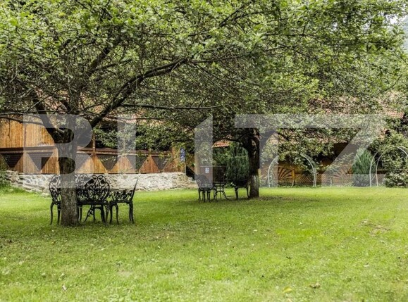 Casa de vânzare 25 camere Sebeș - 151782CV | BLITZ Alba Iulia | Poza9