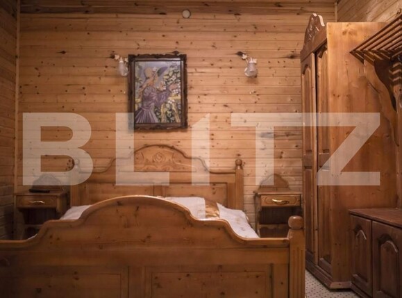 Casa de vânzare 25 camere Sebeș - 151782CV | BLITZ Alba Iulia | Poza5