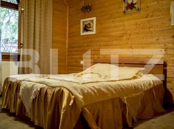 Casa de vânzare 25 camere Sebeș - 151782CV | BLITZ Alba Iulia | Poza3