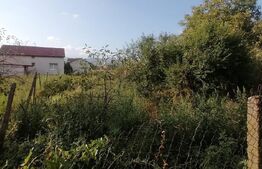 Casa 85 mp, 3 camere, baie 1000 mp teren, in Sard