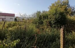 Casa 85 mp, 3 camere, baie 1000 mp teren, in Sard