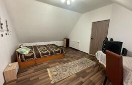 Casa 220 mp utili 4 dormitoare living cu bucatarie open-space teren 760 mp Aiud