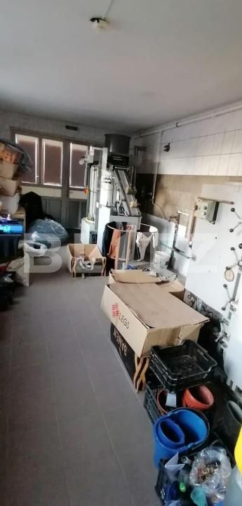 Spațiu industrial de închiriat Aiud - 151865SII | BLITZ Alba Iulia | Poza3