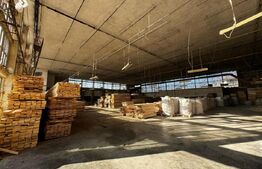 Hală pentru multiple activități, 3031 mp utili , 7000 mp teren, Blaj