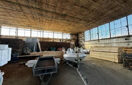 Hală pentru multiple activități, 3031 mp utili , 7000 mp teren, Blaj