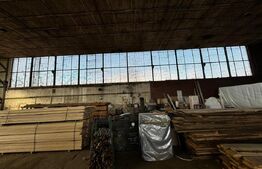 Hală pentru multiple activități, 3031 mp utili , 7000 mp teren, Blaj