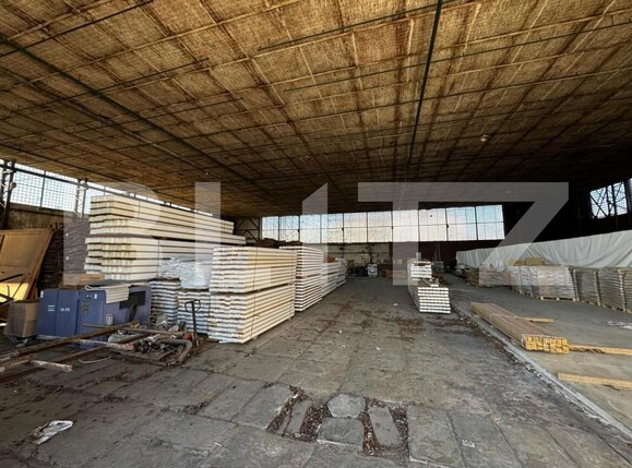 Spațiu industrial de vânzare Blaj - 151867SVI | BLITZ Alba Iulia | Poza9