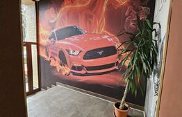Spatiu comercial, 4 camere, teren 461 mp, zona Aiud