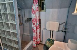 Casă individuala, 5 camere, garaj și grădină, zona Cugir