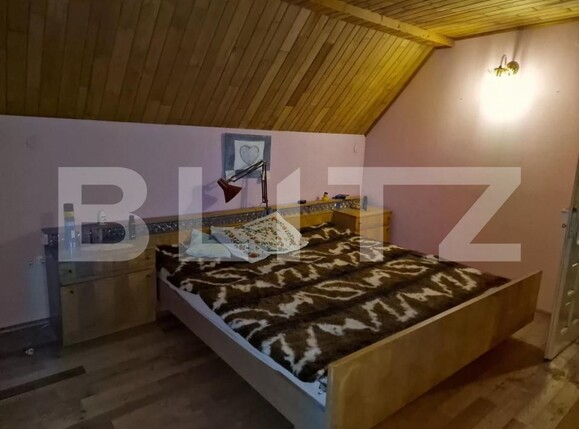 Casa de vânzare 5 camere Cugir - 151931CV | BLITZ Alba Iulia | Poza10