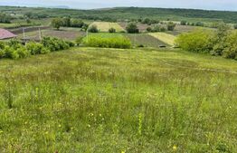 Teren intravilan 7774 mp, zona Teiuș - Stremț