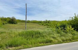 Teren intravilan 7774 mp, zona Teiuș - Stremț