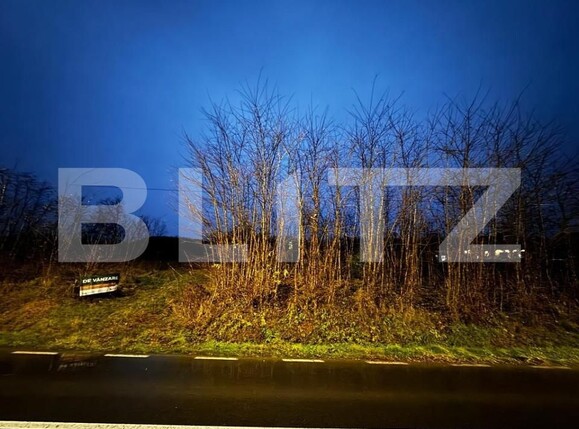 Teren de vânzare Teius - 151951TV | BLITZ Alba Iulia | Poza6