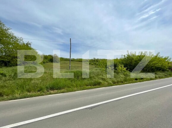 Teren de vânzare Teius - 151951TV | BLITZ Alba Iulia | Poza3