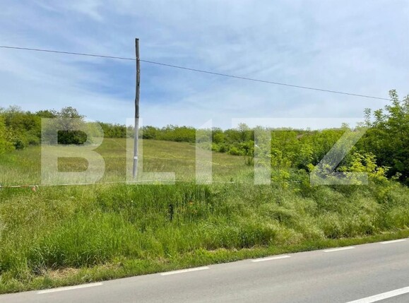 Teren de vânzare Teius - 151951TV | BLITZ Alba Iulia | Poza2