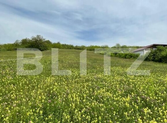 Teren de vânzare Teius - 151951TV | BLITZ Alba Iulia | Poza1