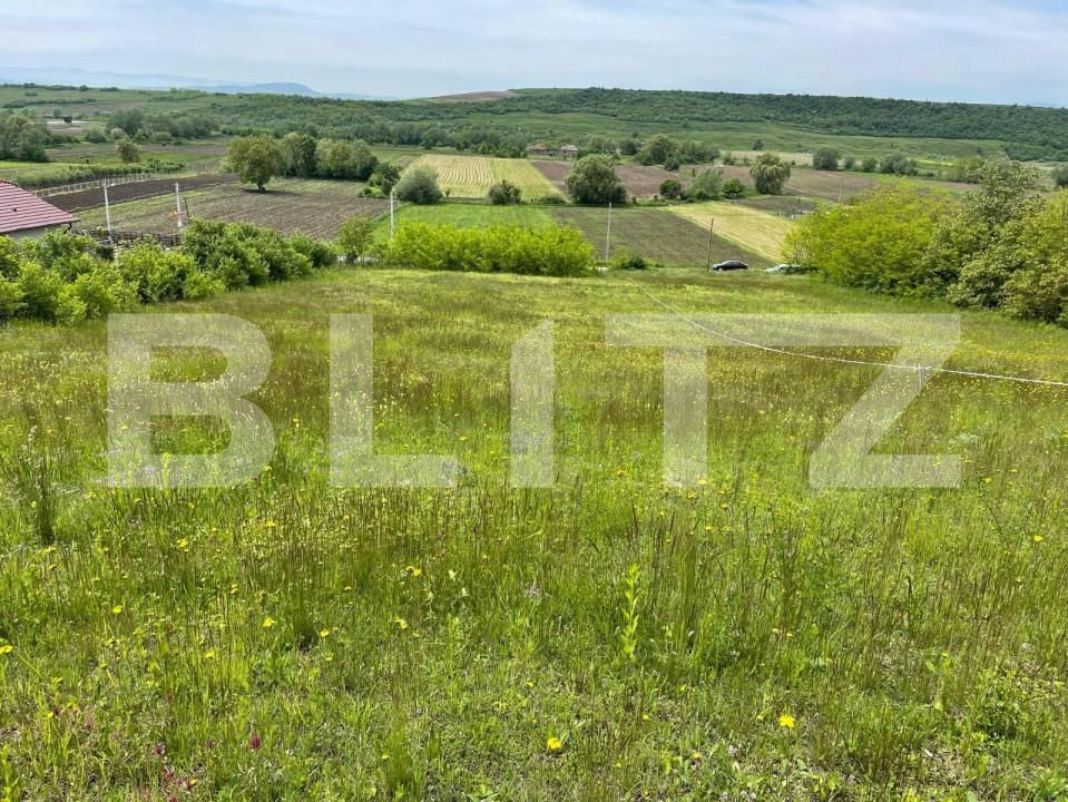 Teren de vânzare Teius - 151951TV | BLITZ Alba Iulia | Poza4