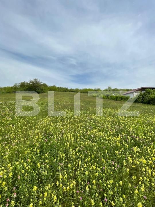 Teren de vânzare Teius - 151951TV | BLITZ Alba Iulia | Poza1