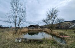 Casă tip conac cu 6283 mp teren și baltă de pești, zona Șard - Ighiu