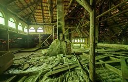 Casă tip conac cu 6283 mp teren și baltă de pești, zona Șard - Ighiu