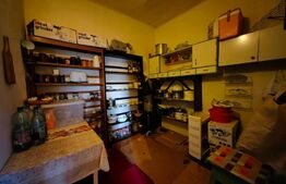 Casă tip conac cu 6283 mp teren și baltă de pești, zona Șard - Ighiu