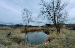 Casă tip conac cu 6283 mp teren și baltă de pești, zona Șard - Ighiu