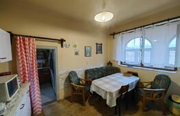 Casă tip conac cu 6283 mp teren și baltă de pești, zona Șard - Ighiu