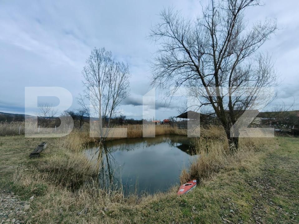 Casa de vânzare 4 camere Sard - 151953CV | BLITZ Alba Iulia | Poza9