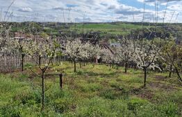 Casa de vanzare Aiud, 4 camere, 184MP