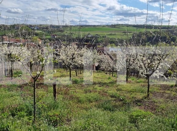 Casa de vânzare 4 camere Aiud - 151954CV | BLITZ Alba Iulia | Poza19