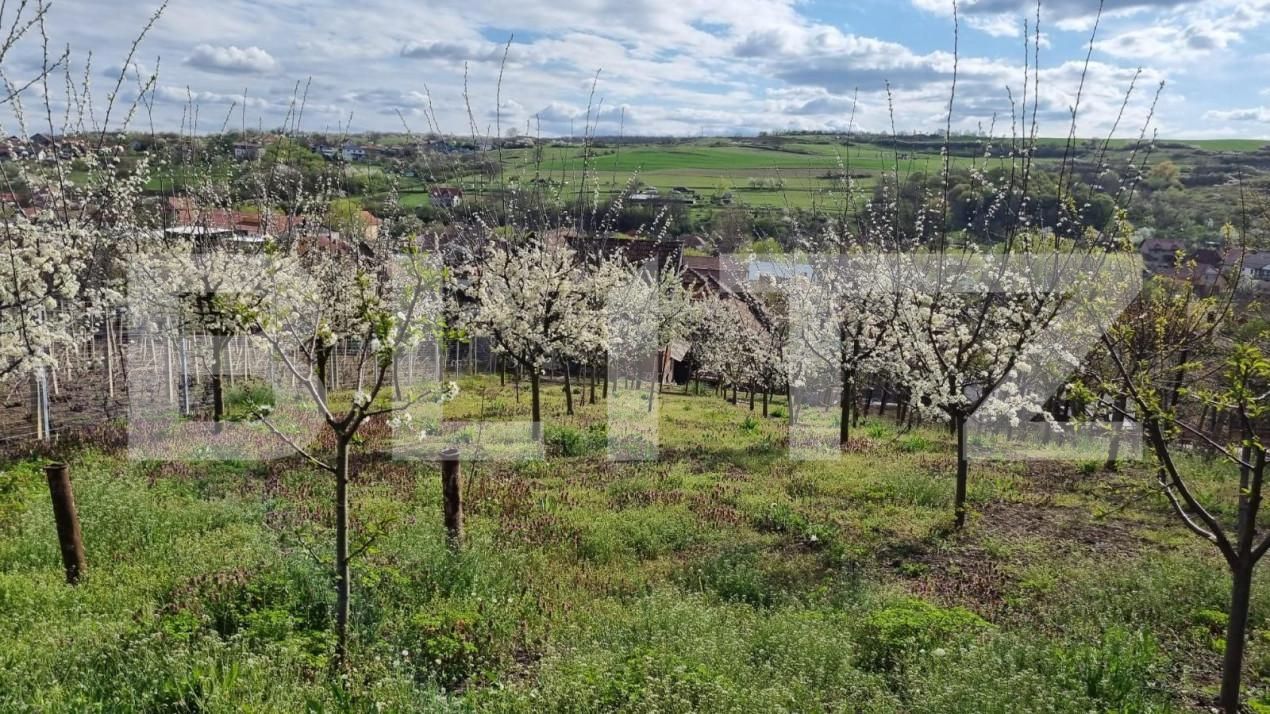 Casa de vânzare 4 camere Aiud - 151954CV | BLITZ Alba Iulia | Poza19