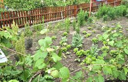 Casa 5 camere, 119.9 mp utili, 390 mp teren, zona Blaj