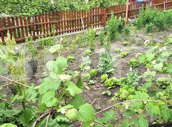 Casa de vânzare 5 camere Blaj - 151963CV | BLITZ Alba Iulia | Poza5