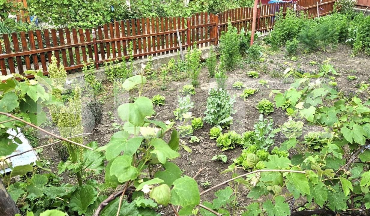 Casa de vânzare 5 camere Blaj - 151963CV | BLITZ Alba Iulia | Poza5