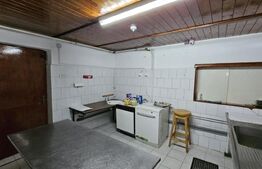 Investitie! Pensiune 13 camere, 13 bai, 5021 mp teren, locuri parcare, Aiud