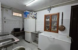 Investitie! Pensiune 13 camere, 13 bai, 5021 mp teren, locuri parcare, Aiud