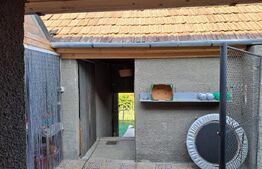 Casă individuală, 240 mp utili, teren 1000 mp, 6 camere, zona Cugir