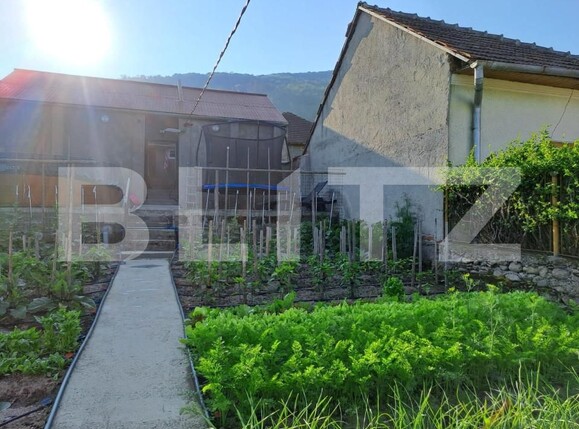 Casa de vânzare 6 camere Cugir - 151965CV | BLITZ Alba Iulia | Poza5