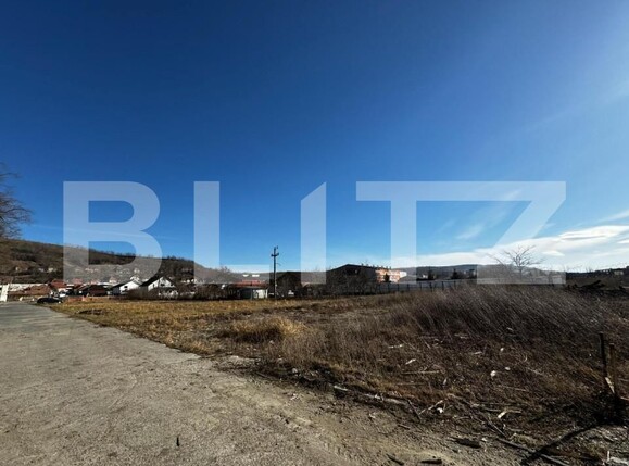 Teren de vânzare Blaj - 151979TV | BLITZ Alba Iulia | Poza1