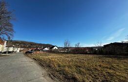 Teren intravilan, 1000 mp, zona centrală - Blaj