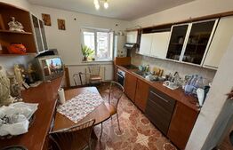 Apartament 2 camere, 50 mp, zona Cetate