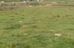 Teren partial intravilan 14800 mp, situat in loc. Paraul lui Mihai