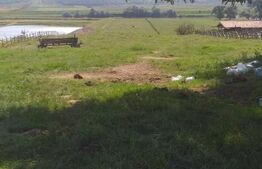 Teren partial intravilan 14800 mp, situat in loc. Paraul lui Mihai