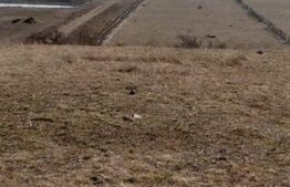 Teren partial intravilan 14800 mp, situat in loc. Paraul lui Mihai