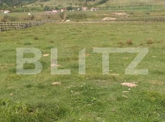 Teren de vânzare Pârău lui Mihai - 152187TV | BLITZ Alba Iulia | Poza3