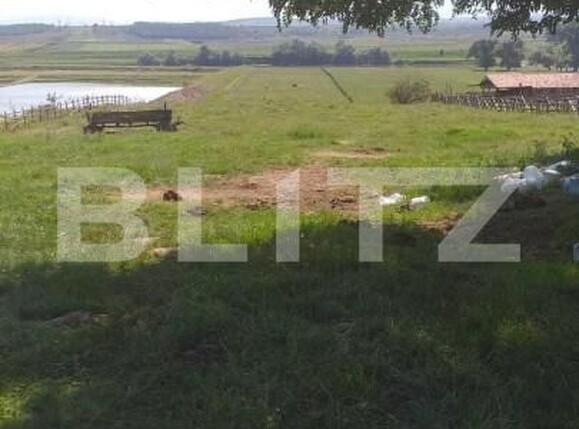 Teren de vânzare Pârău lui Mihai - 152187TV | BLITZ Alba Iulia | Poza4
