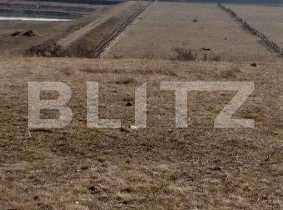 Teren de vânzare Pârău lui Mihai - 152187TV | BLITZ Alba Iulia | Poza1