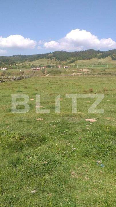 Teren de vânzare Pârău lui Mihai - 152187TV | BLITZ Alba Iulia | Poza3