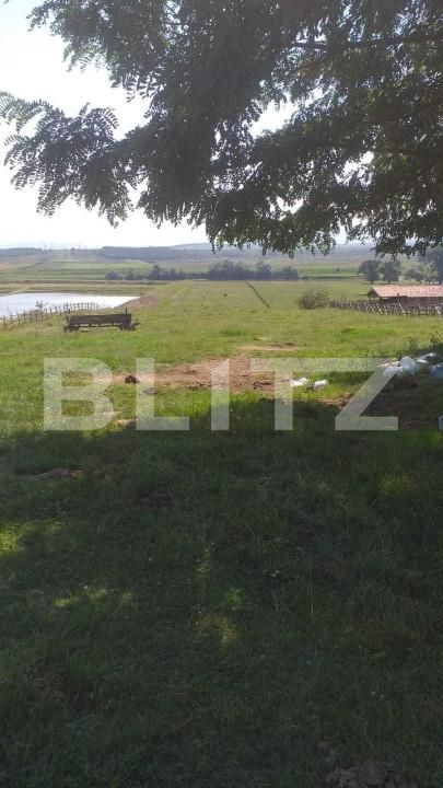 Teren de vânzare Pârău lui Mihai - 152187TV | BLITZ Alba Iulia | Poza4